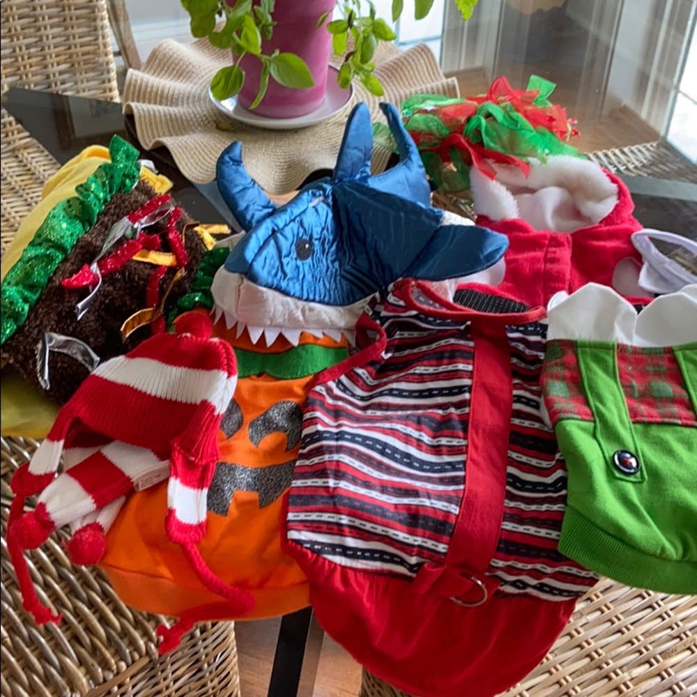 Pet costumes